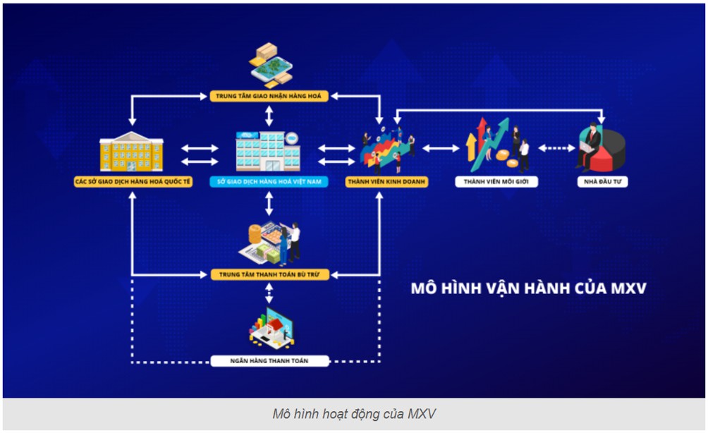 Bước đệm cho giao nhận hàng hóa thông qua Sở Giao dịch Hàng hóa Việt Nam