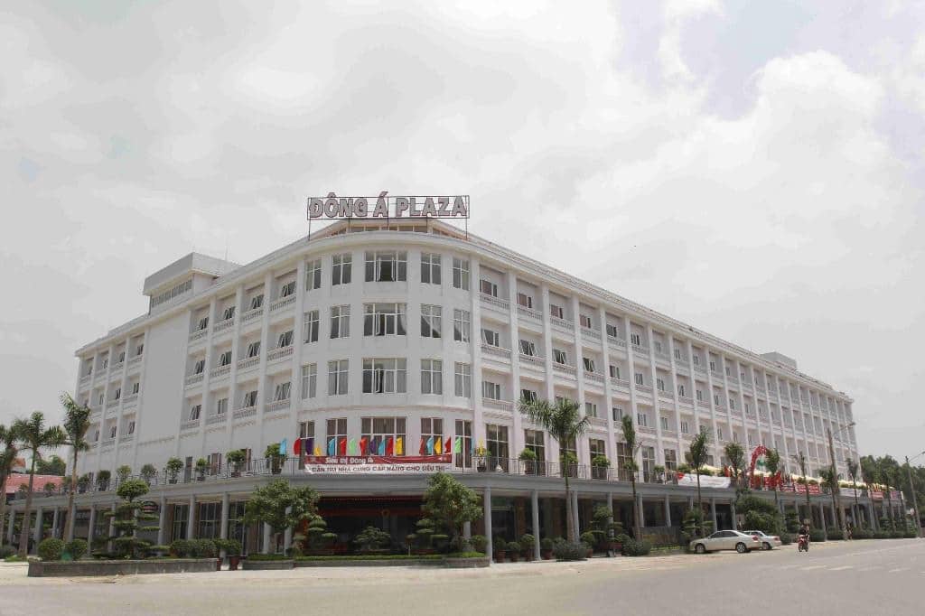 Chiều nay đứng giữa phố, nghe tiếng ve râm ran trên vòm lá, rộn ràng thân thuộc, tôi không thấy inh  ...