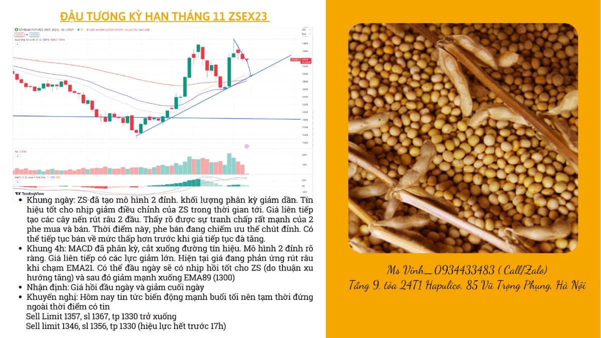 NHẬN ĐỊNH NÔNG SẢN CBOT NGÀY 07/07/2023. Tin tức. - Thời tiết mát mẻ đang lan rộng trên khắp khu vực  ...