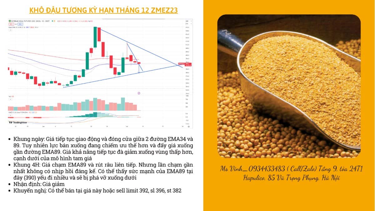 NHẬN ĐỊNH NÔNG SẢN CBOT NGÀY 07/07/2023. Tin tức. - Thời tiết mát mẻ đang lan rộng trên khắp khu vực  ...