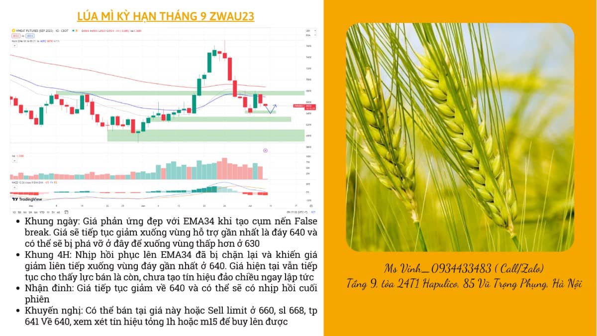 NHẬN ĐỊNH NÔNG SẢN CBOT NGÀY 07/07/2023. Tin tức. - Thời tiết mát mẻ đang lan rộng trên khắp khu vực  ...