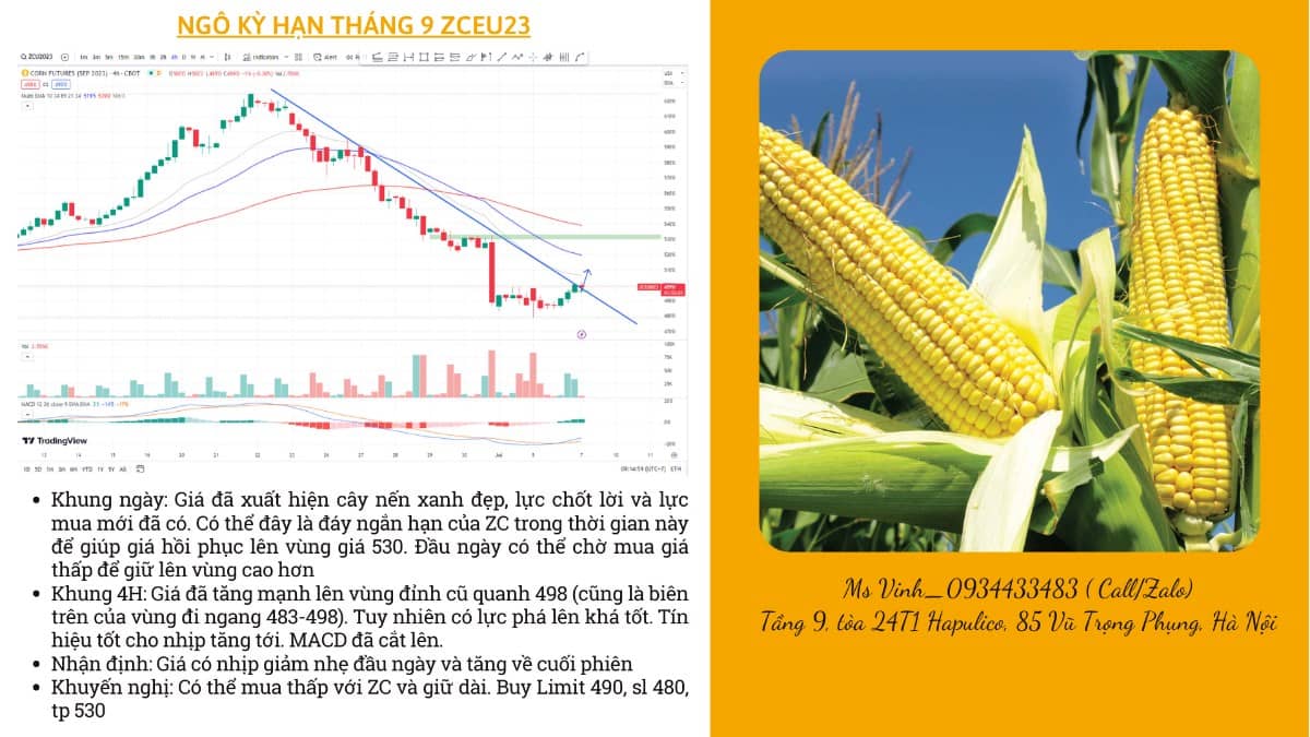 NHẬN ĐỊNH NÔNG SẢN CBOT NGÀY 07/07/2023. Tin tức. - Thời tiết mát mẻ đang lan rộng trên khắp khu vực  ...