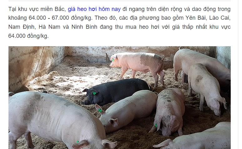 DBC - thịt lợn tiếp đà tăng giá: ngành thực phẩm tiếp đà quý 3 thăng hoa