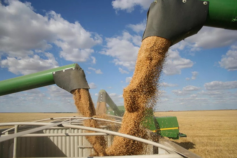 Thỏa thuận xuất khẩu ngũ cốc bị đình chỉ - Nhóm ngành, cổ phiếu nào bị ảnh hưởng?. Nếu các bên không  ...