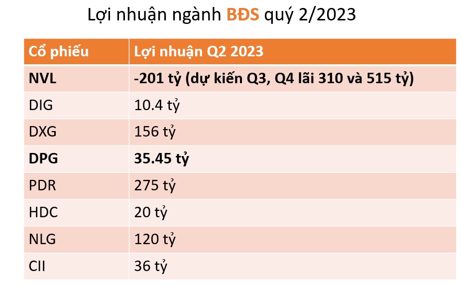 NVL - Chiến lược đầu tư