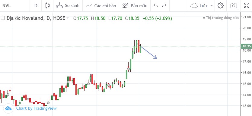 NVL - Chiến lược đầu tư