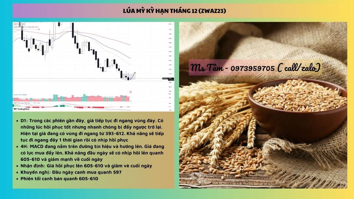 NHẬN ĐỊNH NÔNG SẢN CBOT NGÀY 05/09/2023. Tin tức cơ bản. - Tổng thống Thổ Nhĩ Kỳ và Nga đang xem xét  ...