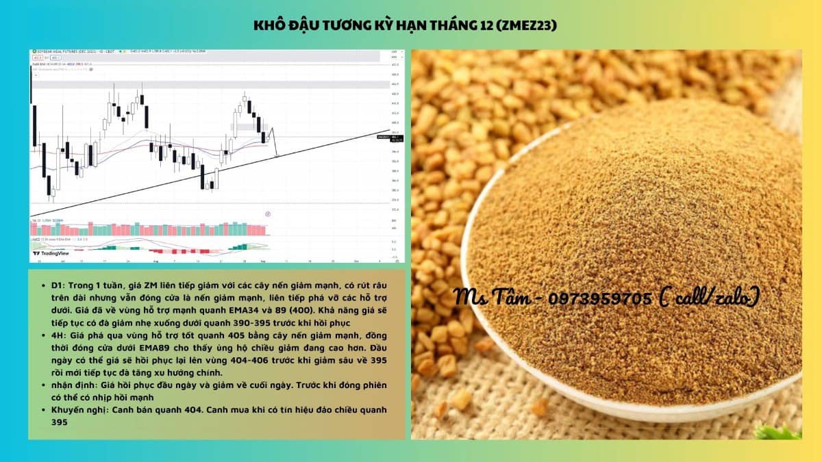 NHẬN ĐỊNH NÔNG SẢN CBOT NGÀY 05/09/2023. Tin tức cơ bản. - Tổng thống Thổ Nhĩ Kỳ và Nga đang xem xét  ...