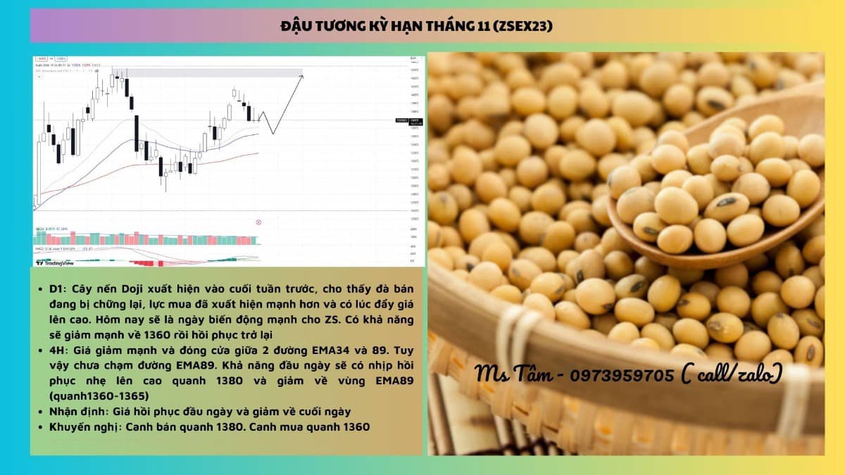 NHẬN ĐỊNH NÔNG SẢN CBOT NGÀY 05/09/2023. Tin tức cơ bản. - Tổng thống Thổ Nhĩ Kỳ và Nga đang xem xét  ...