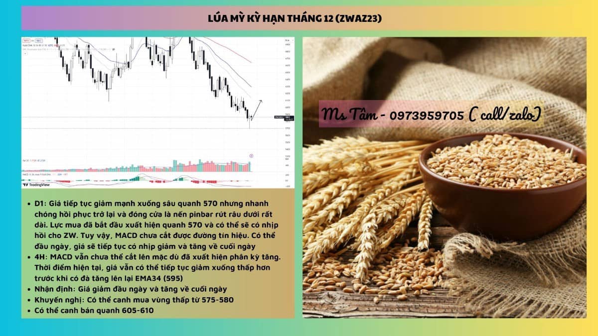 NHẬN ĐỊNH NÔNG SẢN NGÀY 13/09/2023. Tin tức đậu tương:. - Theo báo cáo tiến độ mùa vụ, tỷ lệ đậu tương  ...