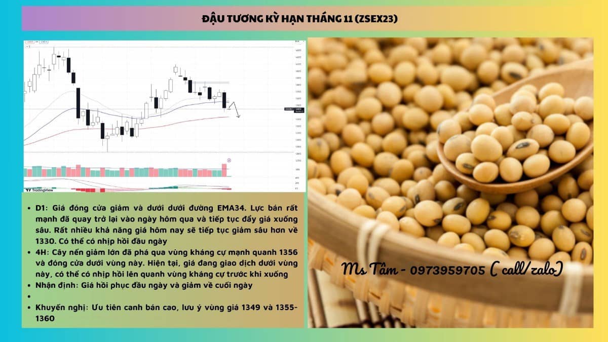 NHẬN ĐỊNH NÔNG SẢN NGÀY 13/09/2023. Tin tức đậu tương:. - Theo báo cáo tiến độ mùa vụ, tỷ lệ đậu tương  ...