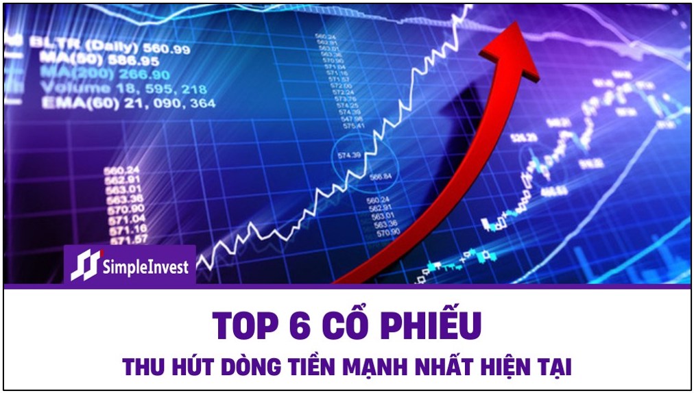 Bắt đáy Top 6 cổ phiếu thu hút dòng tiền mạnh nhất thị trường