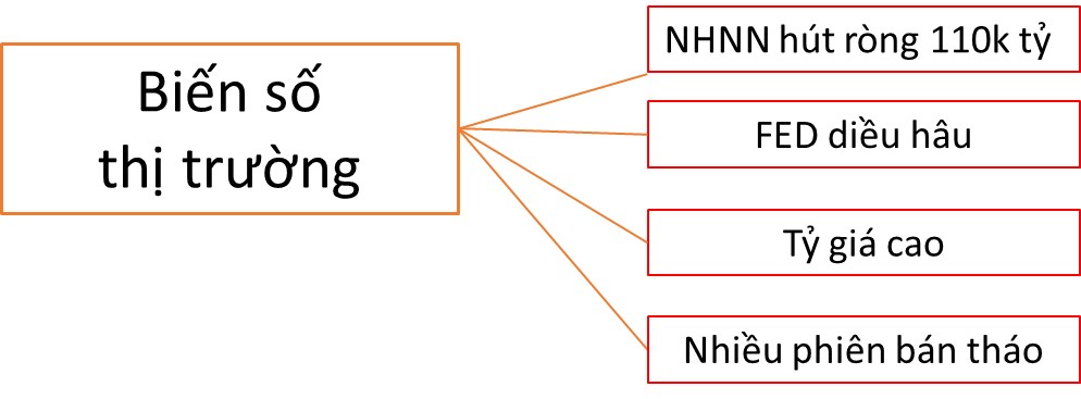 Lỗ nặng vì bull trap!