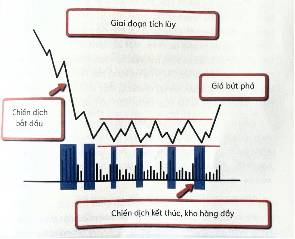 Chu kì thị trường chứng khoán dưới con mắt nhà tạo lập