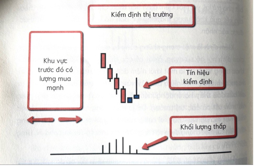 Chu kì thị trường chứng khoán dưới con mắt nhà tạo lập