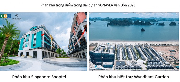 CEO - Quay lại đường đua?
