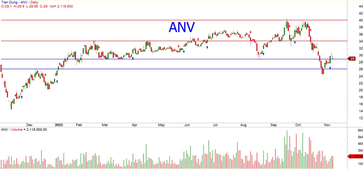 Phân tích cổ phiếu ANV: Kỳ Vọng Hoạt Động Xuất Khẩu Phục Hồi Mạnh Mẽ