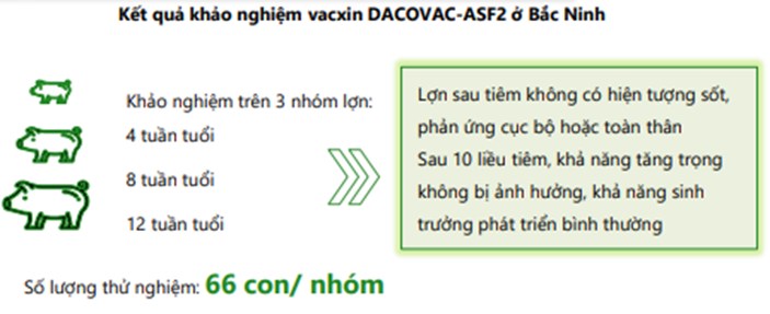 DBC – Thời kỳ hoàng kim trở lại