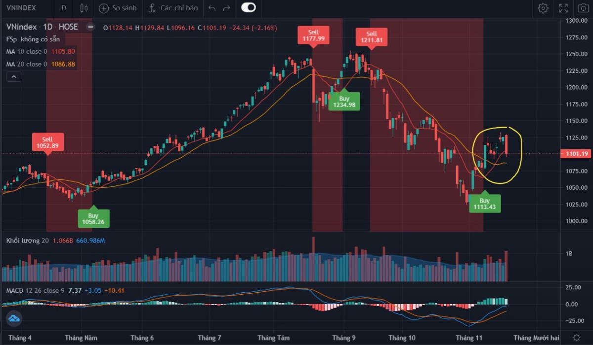 Kịch bản VN-INDEX, Vạn Thịnh Phát, VFS với Dxy 103 - Lãi suất giảm