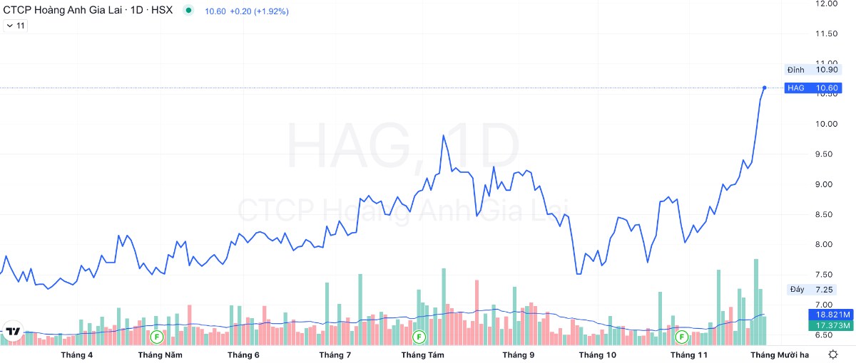 Câu chuyện HAG phát hành thêm cổ phiếu