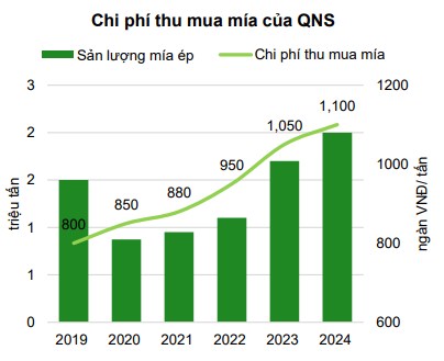 CTCP Đường Quảng Ngãi QNS - Doanh nghiệp triển vọng 2024