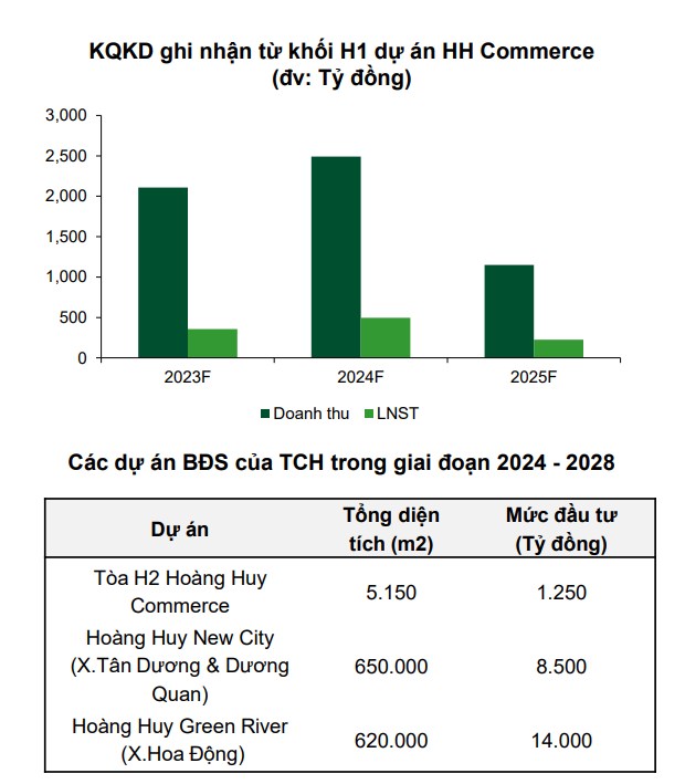 TCH - CTCP Đầu tư Dịch vụ Tài chính Hoàng Huy - Doanh nghiệp triển vọng 2024