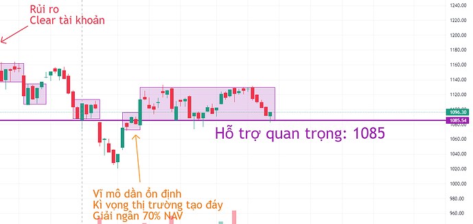 Đại sóng uptrend 2024 - 2025?