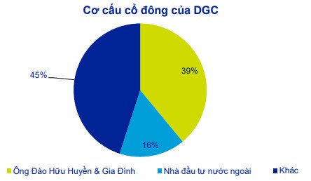 Cổ phiếu DGC (Công ty cổ phần tập đoàn hoá chất Đức Giang): Luận điểm đầu tư