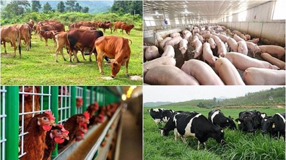Top những nhóm ngành nên có năm 2024