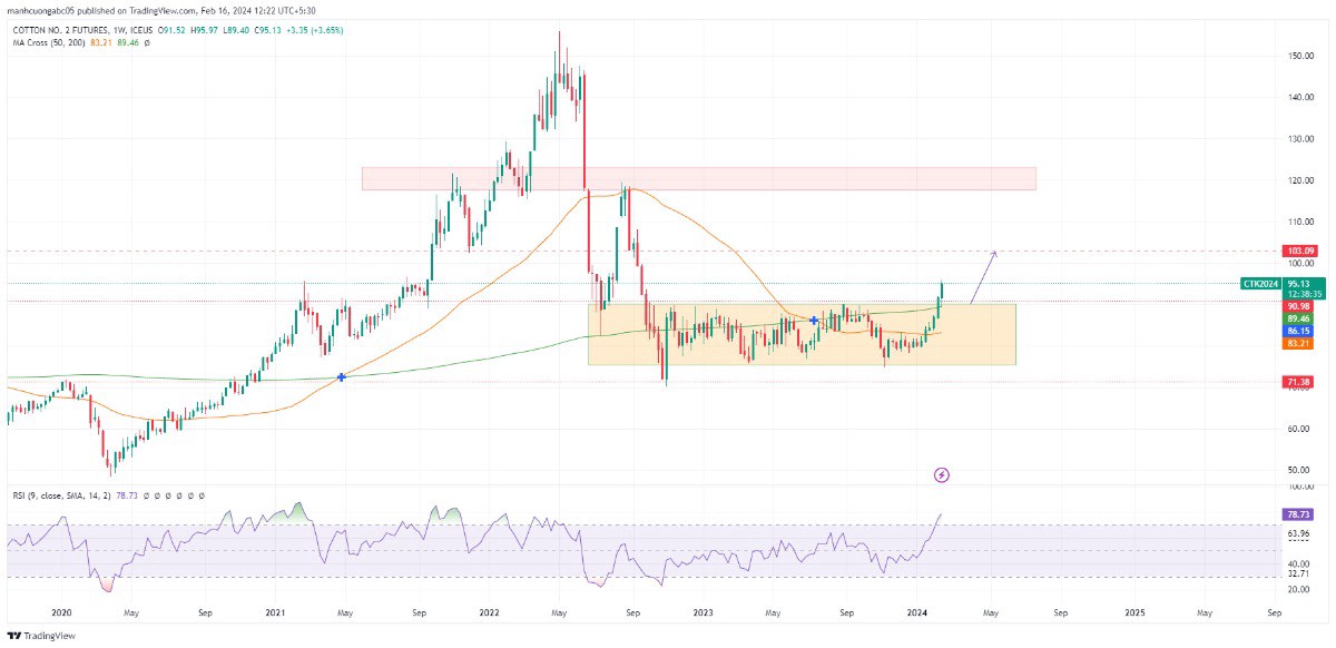 Bông (Cotton) - tích lũy hơn 1 năm liệu đã đủ để bứt phá mạnh?