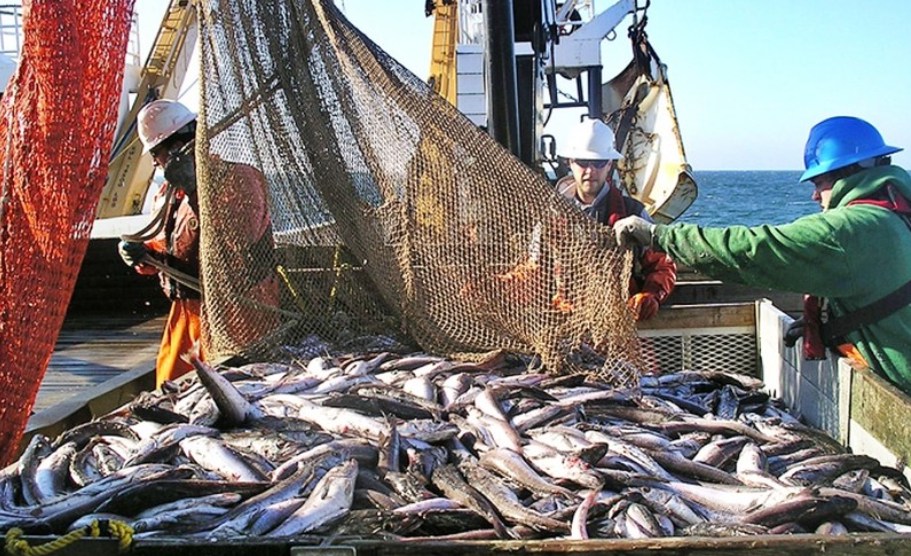Bắt đáy chu kì lợi nhuận nhóm thủy sản. Thuỷ sản có lẽ là 1 trong những ngành khó khăn trong năm 2023  ...