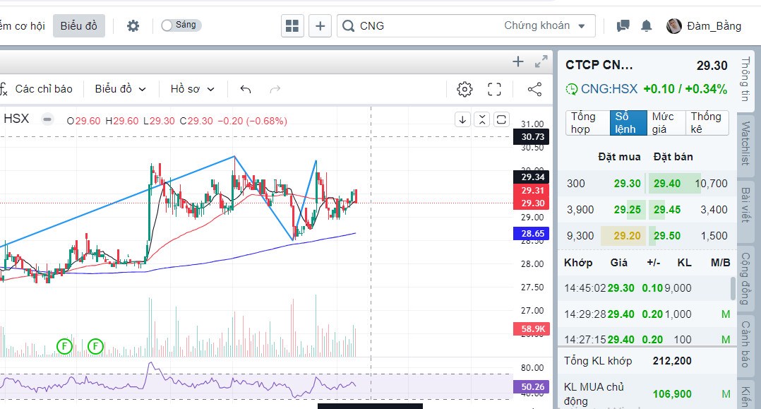 Cổ phiếu CNG (Công ty cổ phần CNG Việt Nam): Luận điểm đầu tư