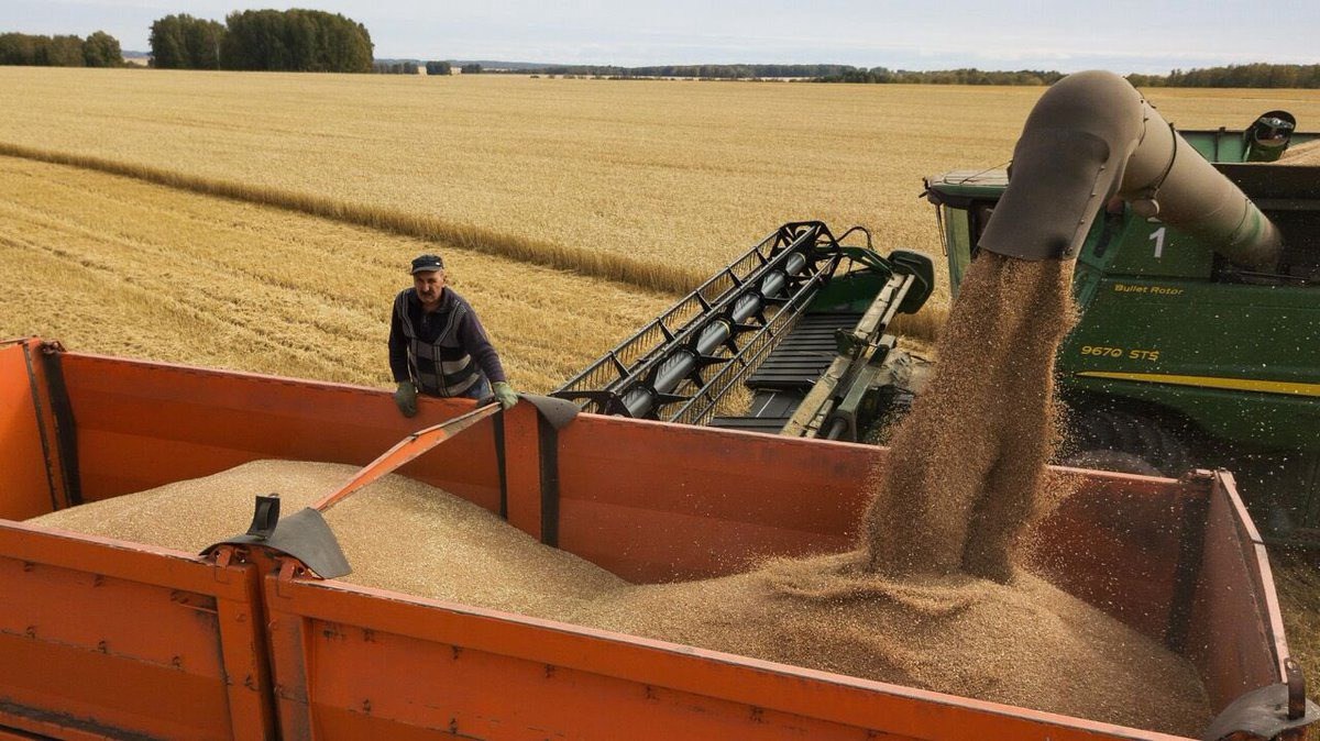 EU áp thuế đối với ngũ cốc nhập khẩu từ Nga