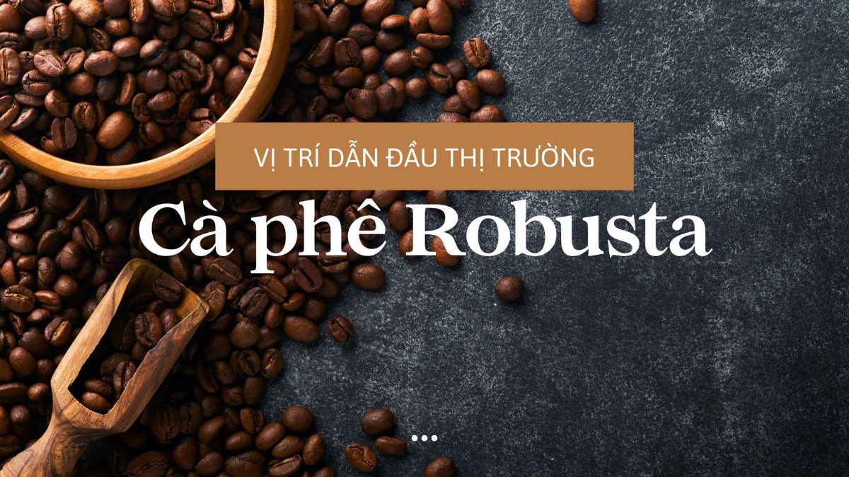 Vị trí dẫn đầu thị trường cà phê Robusta