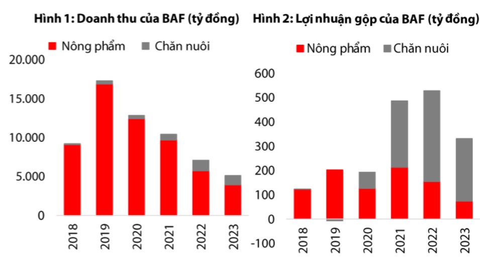 BAF - Siêu cổ ngành heo