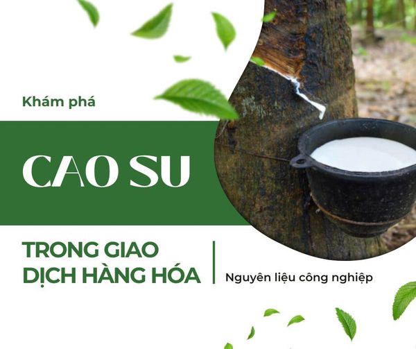 KHÁM PHÁ CAO SU TRONG GIAO DỊCH HÀNG HÓA. ✔️ Cao su là một trong những mặt hàng quan trọng trong giao  ...