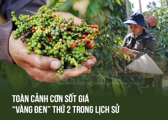 Việt Nam đang nắm giữ kho hàng lớn nhất thế giới, giá tăng phi mã