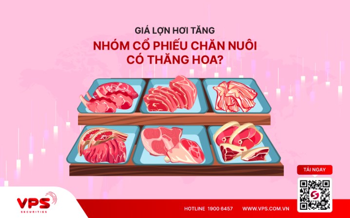 Giá lợn hơi tăng, nhóm cổ phiếu chăn nuôi có thăng hoa?. Giá lợn hơi tăng cao trong thời gian qua và  ...
