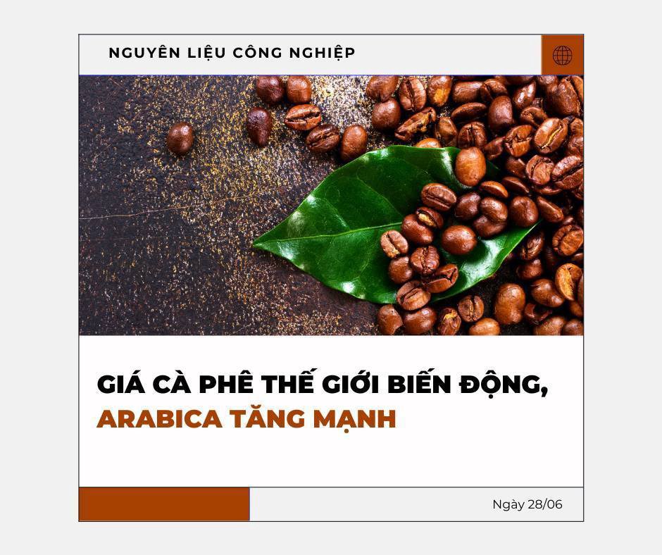 ***giá cà phê thế giới biến động, arabica tăng mạnh***. - Ghi nhận mới nhất cho thấy giá cà phê trên  ...