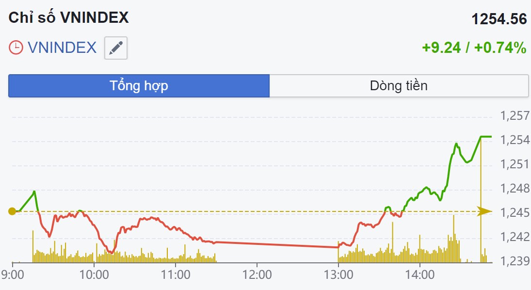 VM-Index đã tạo đáy ở 1250 điểm? Top cổ phiếu sẽ bùng nổ sau MWG