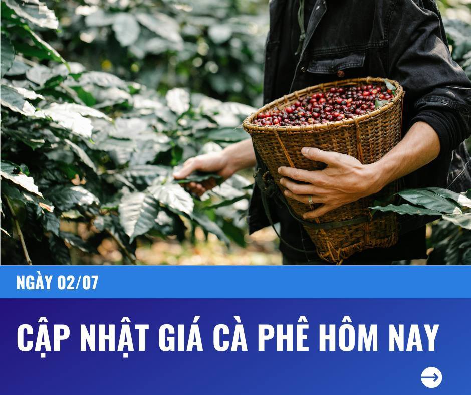 ***Cập nhật giá cà phê ngày 02/07***. - Tình hình giá cà phê trong nước ngày hôm nay tiếp tục ghi nhận  ...