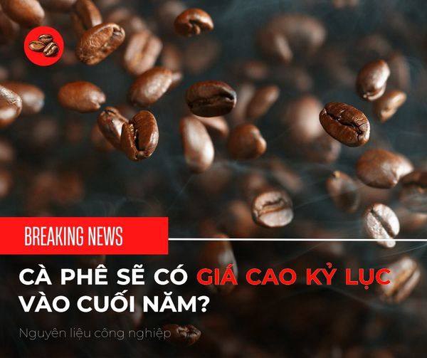 Cà phê sẽ có giá cao kỷ lục vào cuối năm?. *** Dự báo từ các chuyên gia cho thấy La Nina sẽ thay thế  ...