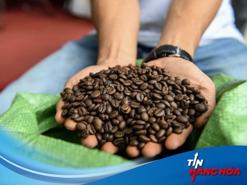 ***NGÀY 9/7: GIÁ CÀ PHÊ ROBUSTA THẾ GIỚI TIẾP TỤC TĂNG MẠNH***. ☕Tình hình giá cà phê. - Trên sàn giao  ...