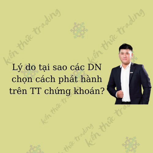 Lý do tại sao các DN chọn cách phát hành trên TT chứng khoán? . Anh chị mình hiểu bản chất của TTCK  ...