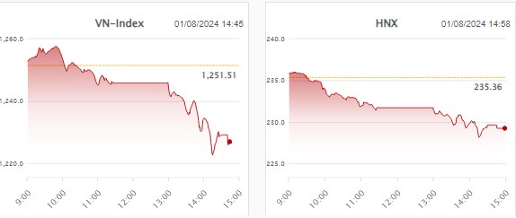 Nhịp đập thị trường 01/08: VN-Index giảm sâu, khối ngoại lại mua ròng-cầm hàng xem gấp