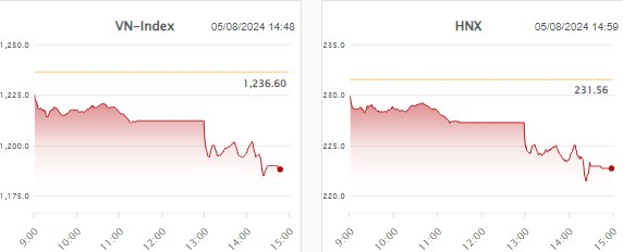 🔴 Nhịp đập Thị trường 05/08: 129 mã giảm sàn, VN-Index mất hơn 48 điểm giảm lại là cơ hội ?