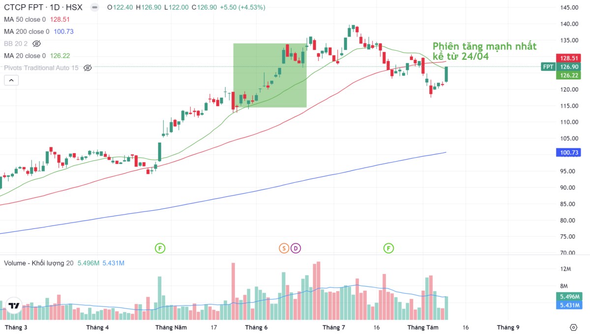 Cổ phiếu DIG, HCM và SSI tạo đáy - Cú lừa kinh điển của Vnindex