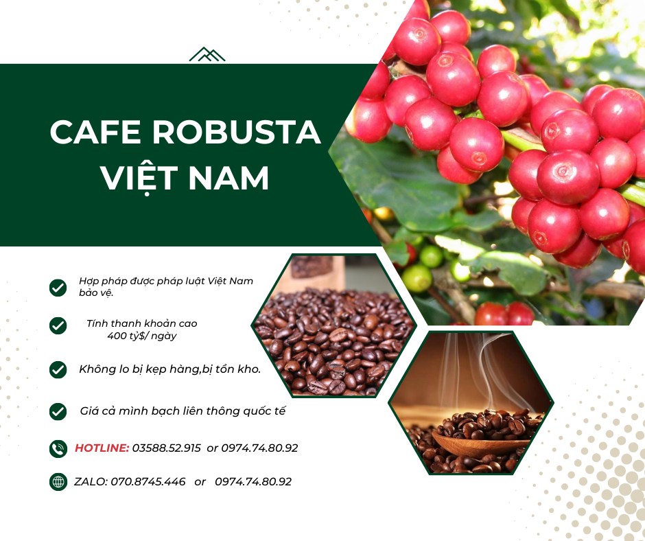 🌎🌎GIÁ CAFE TRONG NƯỚC TIẾP TỤC TĂNG LIỆU CÓ BẮT ĐẦU 1 ĐÀ TĂNG MỚI?. 🟠Gía cafe hôm nay 09/08/2024:Thị  ...