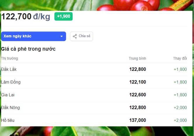 🌎🌎GIÁ CAFE TRONG NƯỚC TIẾP TỤC TĂNG LIỆU CÓ BẮT ĐẦU 1 ĐÀ TĂNG MỚI?. 🟠Gía cafe hôm nay 09/08/2024:Thị  ...