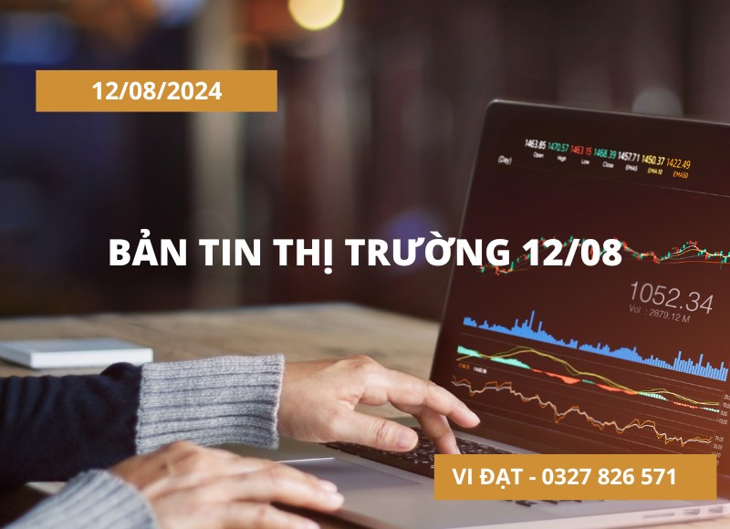 Bản tin thị trường 12/08